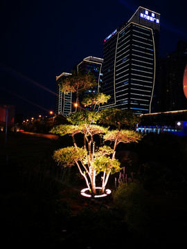 夜间照明用的树