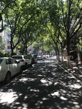 林荫路