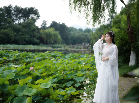 鞠婧祎白素贞同款古装