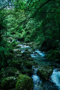 青城后山景区