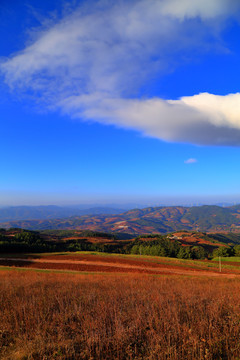 东川红土地