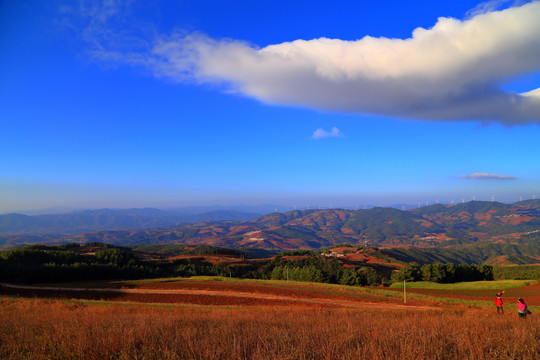 东川红土地