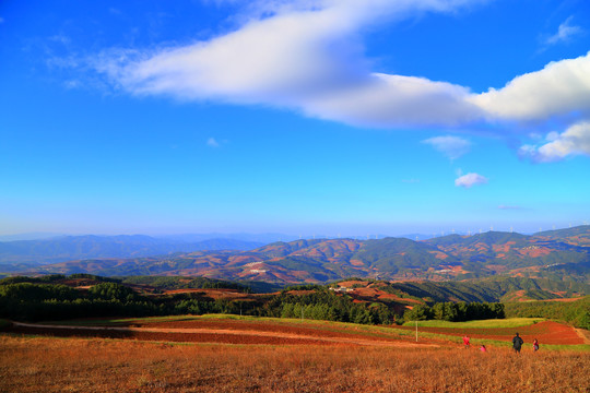 东川红土地