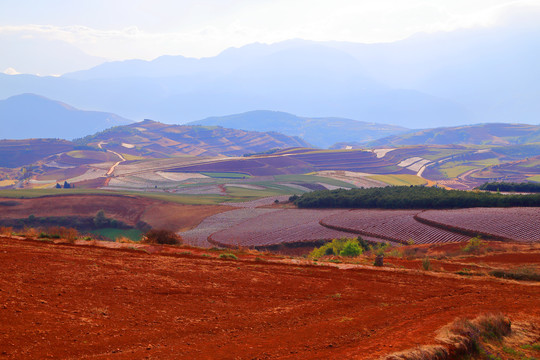 东川红土地