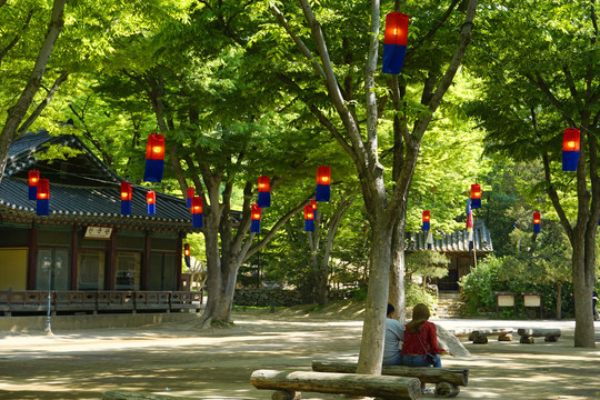 韩国传统红蓝色灯笼