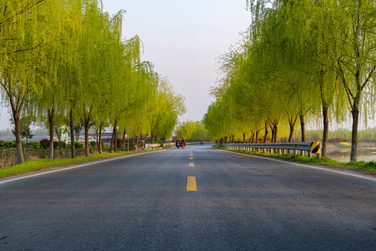 乡村道路