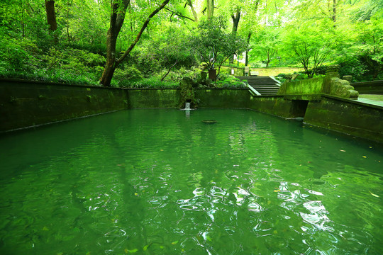 虎跑梦泉景点