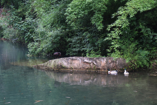 三峡山水