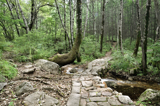 平山县驼梁风景区