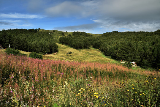 平山县驼梁风景区