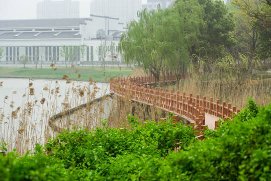 河岸景观