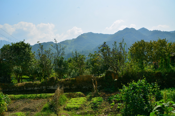 农村风景