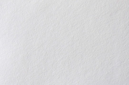 纸纹