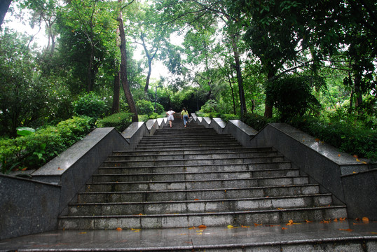 公园登山台阶