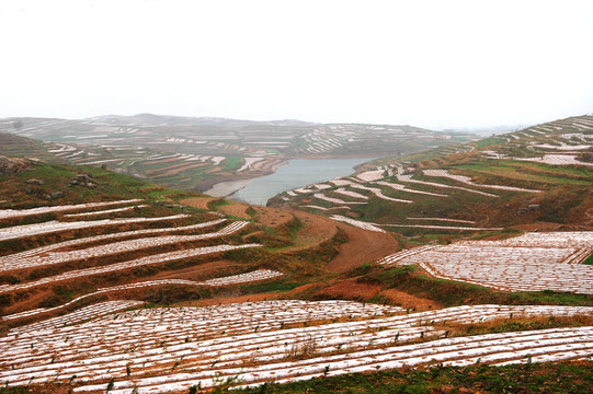 丘陵沟壑