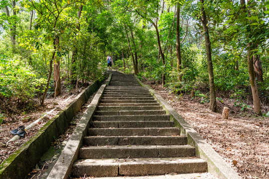 登山阶梯