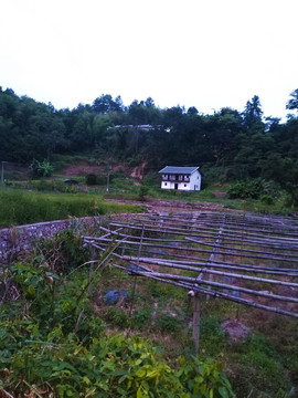 山水田园
