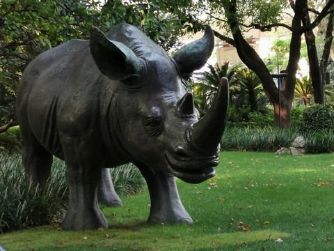 公园草地上的犀牛雕塑