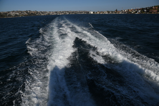 悉尼湾海景
