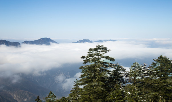 神农架雪景