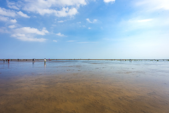海滩