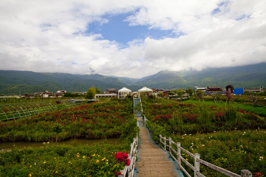 拉巿海花园