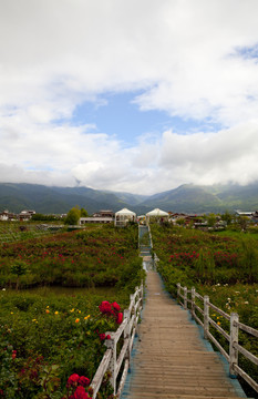 拉巿海花园