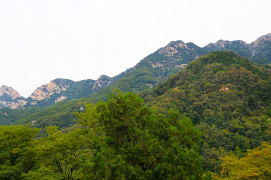 泰山风光