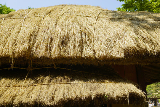 韩国民俗村的茅屋稻草屋顶