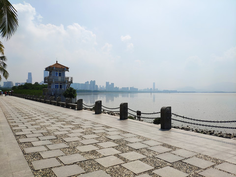 深圳湾