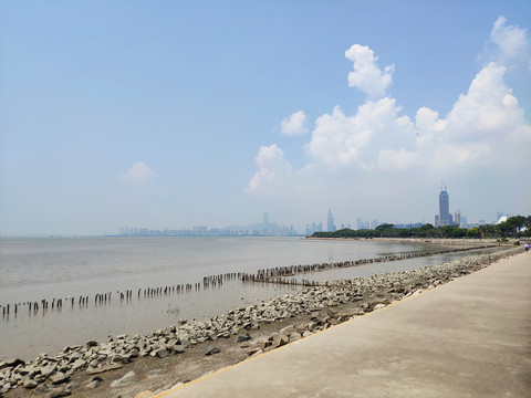 深圳湾公园