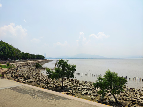 海景