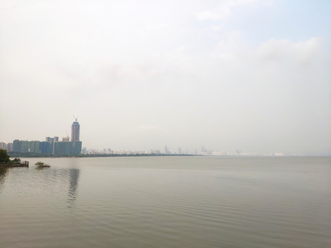 面朝大海