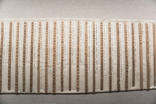 东汉医简