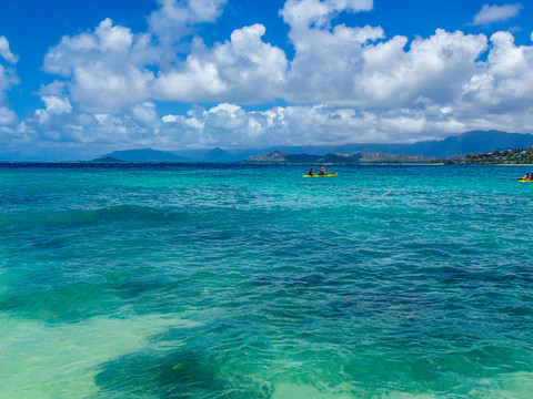 面朝大海