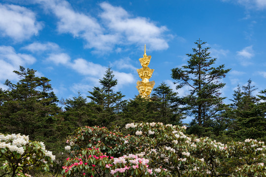 峨眉山上的十方普贤菩萨金像