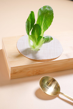 小油菜