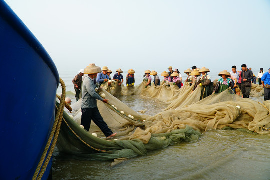 蓝袍湾渔民拖网捕鱼