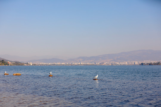 朦胧的泸沽湖湖面