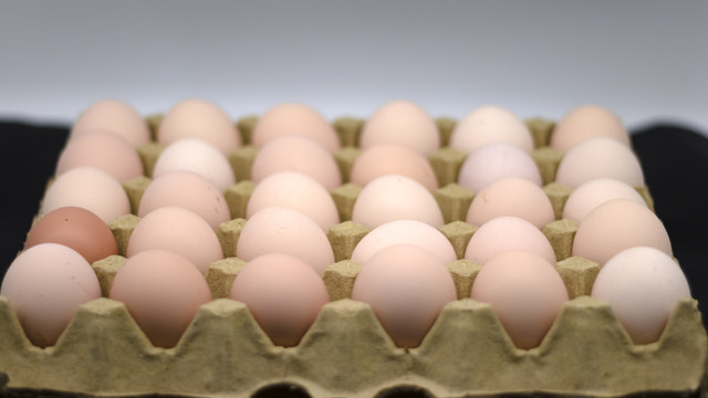 排列整齐的鸡蛋