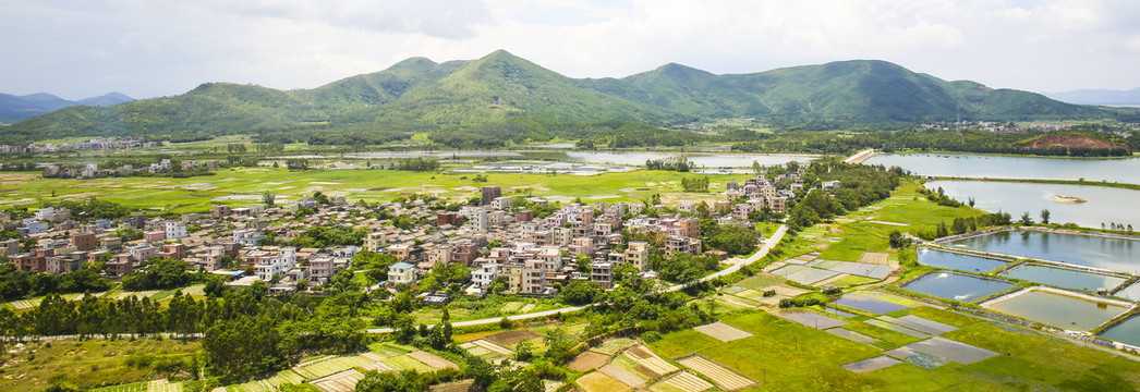 鹅渚埠村