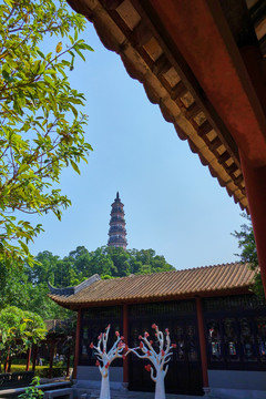 顺德顺峰山青云塔