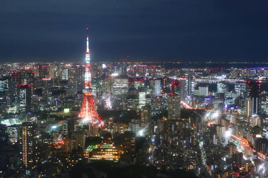 东京塔夜景