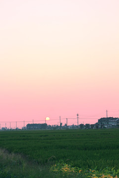 粉色天空
