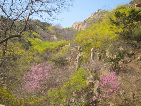 莱州郭家店马山风光