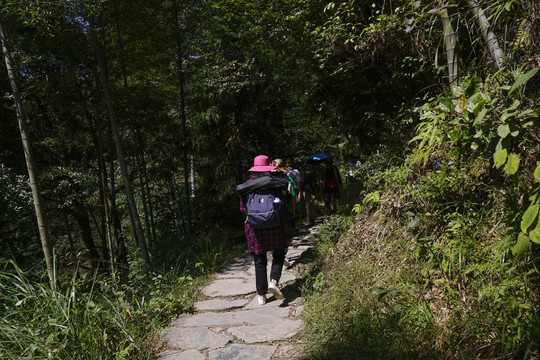 山间小路