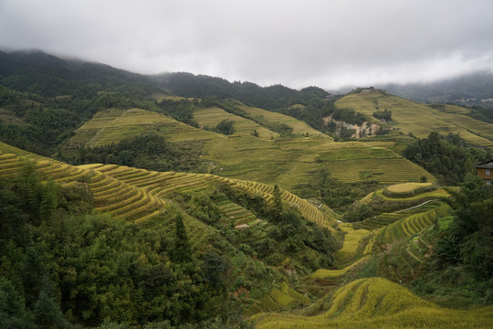 龙胜梯田