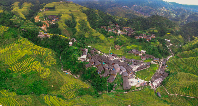 大瑶寨梯田观景