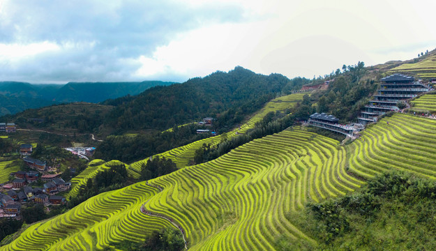 龙脊梯田