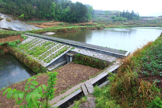 巴中槐树村山平塘